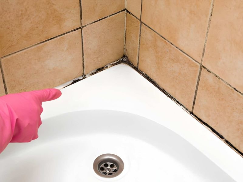 Hand pointing at moldy bathtub seal
