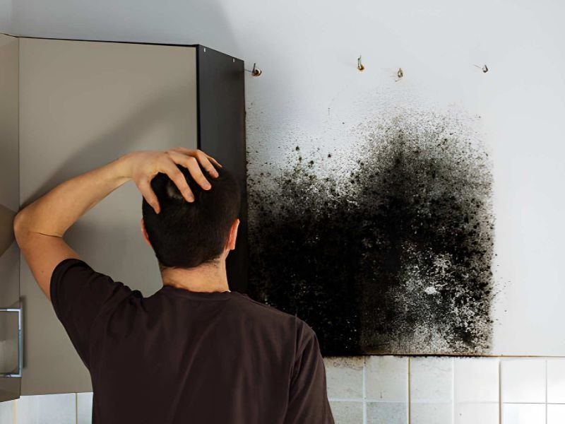 Person looking at large black mold patch.
